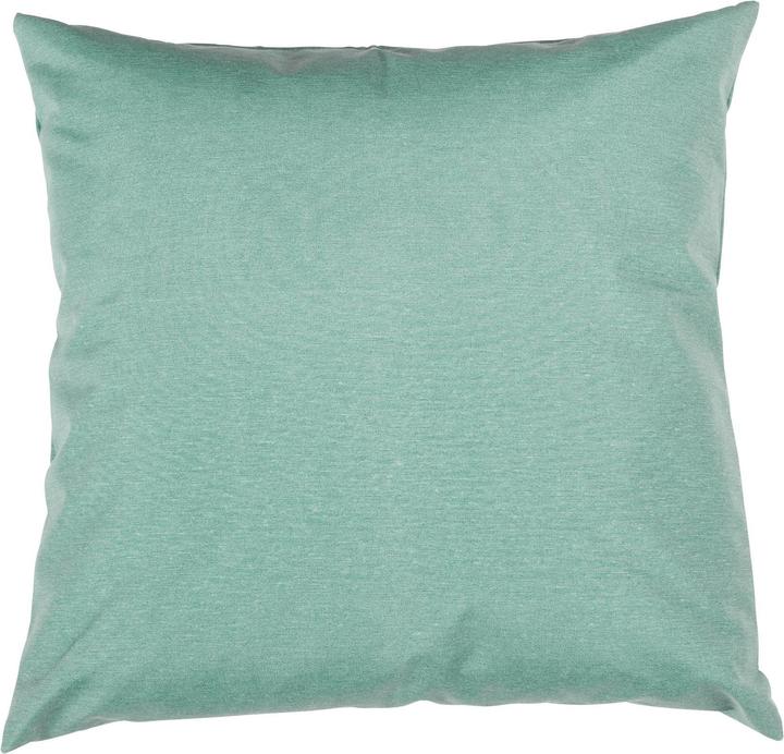 Coussin décoratif