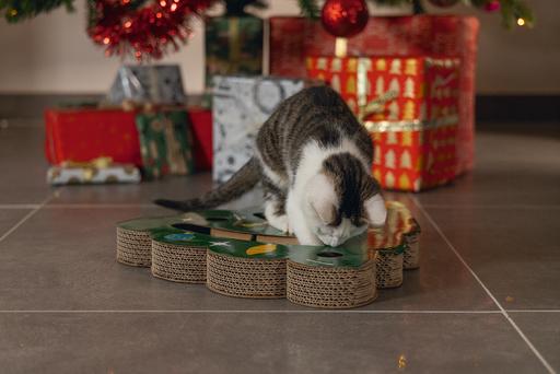 Productafbeelding Beeztees Kerst krasspeeltje (Krabspeeltje voor katten)