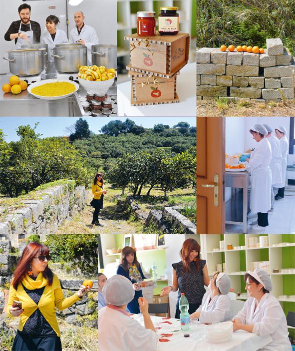 Produktbild Italia - Das Beste aus allen Regionen (Deutsch, Cettina Vicenzino, 2021)