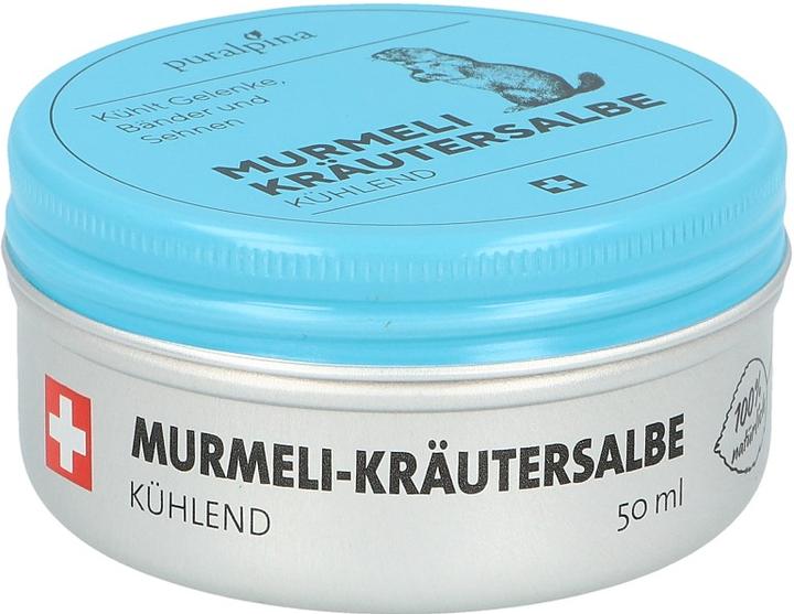 Produktbild Puralpina Murmeli-Kräutersalbe kühlend (1 x, 50 ml, 70 g)