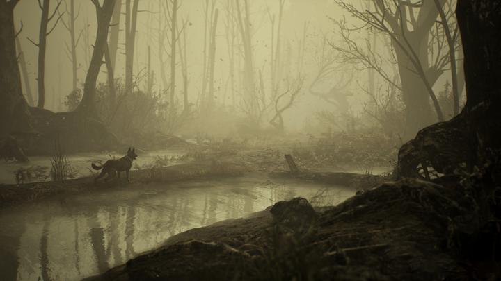 Produktbild Deep Silver Blair Witch (PS4, Multilingual)