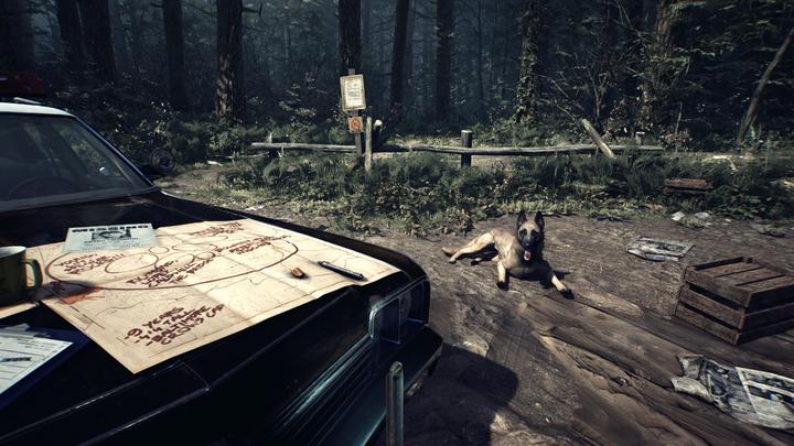 Produktbild Deep Silver Blair Witch (PS4, Multilingual)