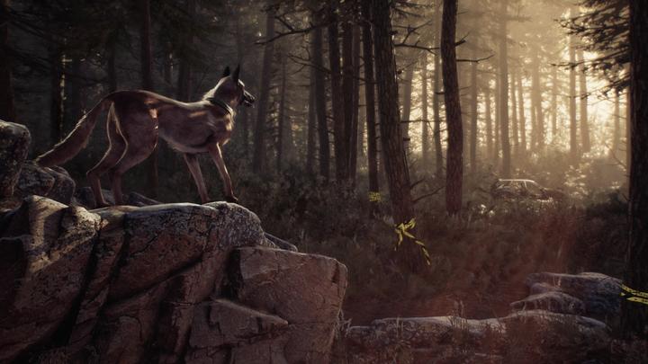 Produktbild Deep Silver Blair Witch (PS4, Multilingual)