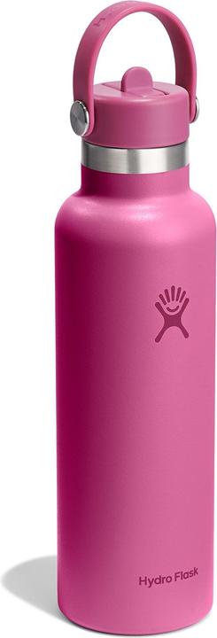 Produktbild Hydro Flask Flasche Standard Mouth Flex Straw Cap Reef (0.62 l)