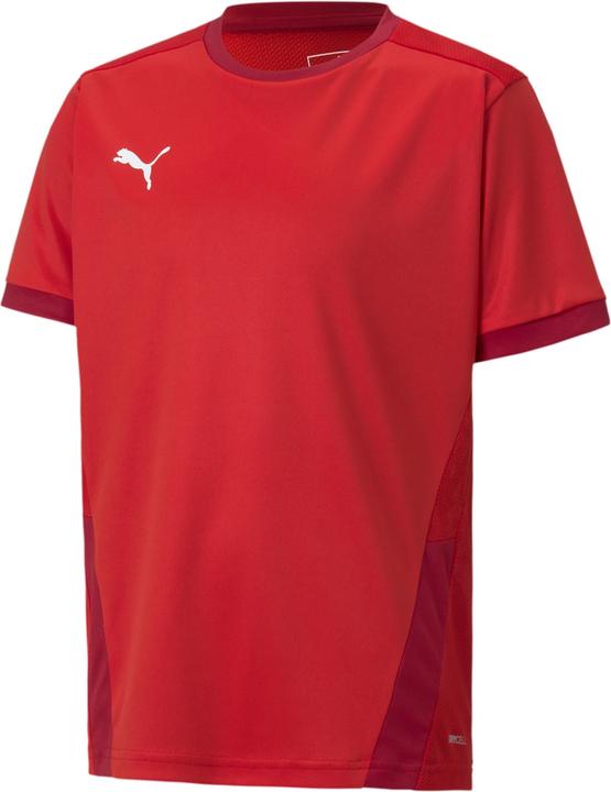 Puma teamGOAL 23 Jersey jr-704160