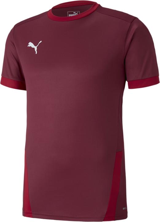 Puma teamGOAL 23 Jersey-704171 (S)
