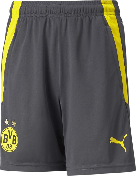 Produktbild Puma BVB Training Shorts Jr-759144 (128)