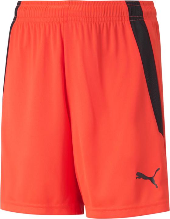 Puma teamLIGA Shorts Jr-704931