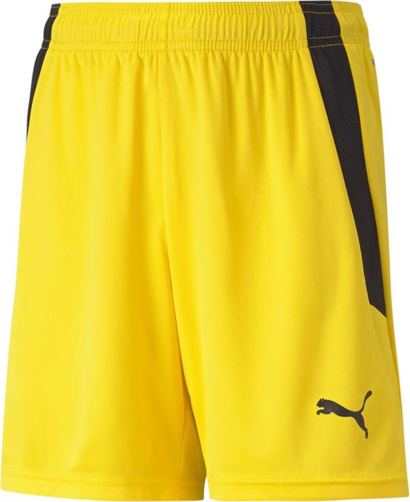 Puma teamLIGA Shorts Jr-704931 (116)