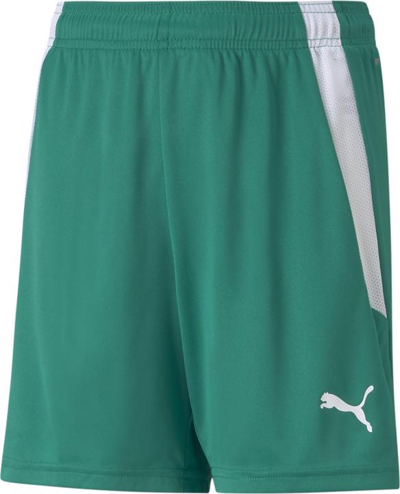 Puma teamLIGA Shorts Jr-704931 (176)