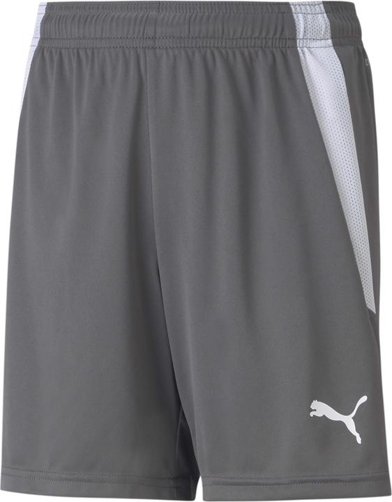 Puma teamLIGA Shorts Jr-704931