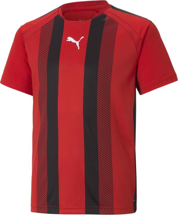 Puma teamLIGA Striped Jersey Jr-704927