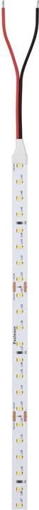 Actual product image Paulmann PAUL LED strip light (Neutral White, 1000 cm, Indoor)