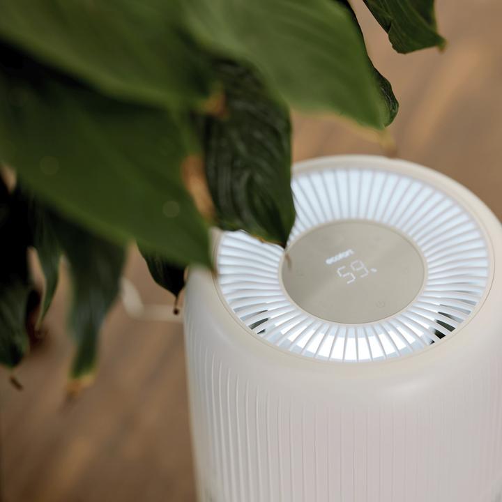 Actual product image ecofort ecoQ HumidAir E600+ (80 m²)