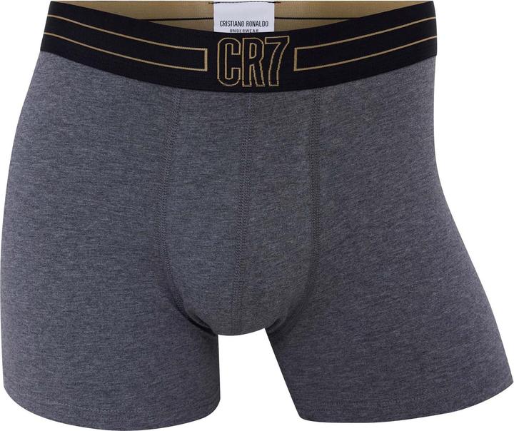 Actual product image CR7 Boxershort Casual Figurbetont (S, pack of 7)