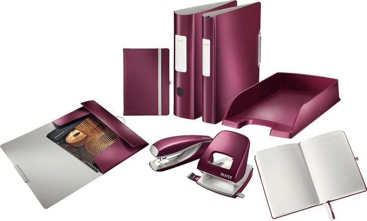 Image du produit Leitz Poinçon de bureau Style NeXXt