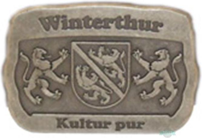 Actual product image Tamar Belt with buckle Winterthur 135cm belt length