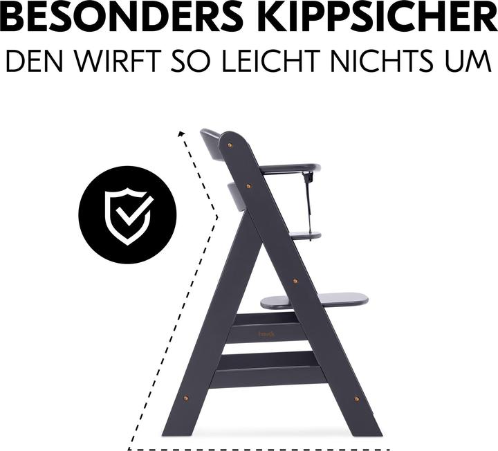 Actual product image Hauck Alpha Newborn Set Plus (Highchair)