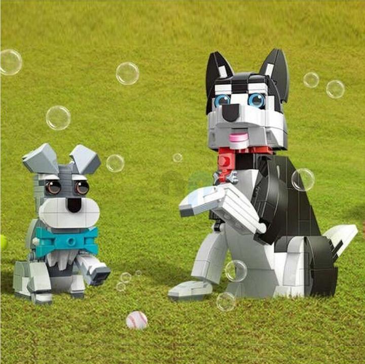 Jaki Schnauzer et Husky