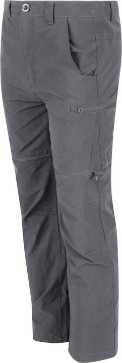 Actual product image Regatta Highton hiking trousers (116)