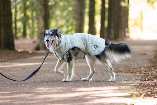Immagine prodotto Beeztees Bz Cappotto Per Cani Bobby Taupe 52 (52, Cappotto per cani)