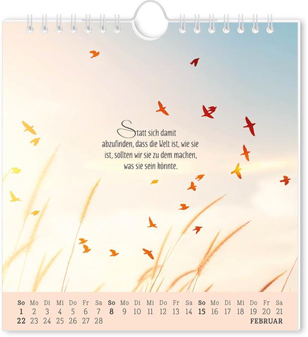 Actual product image Postkartenkalender 2026 Lebenszeichen (16 x 17 cm, German)