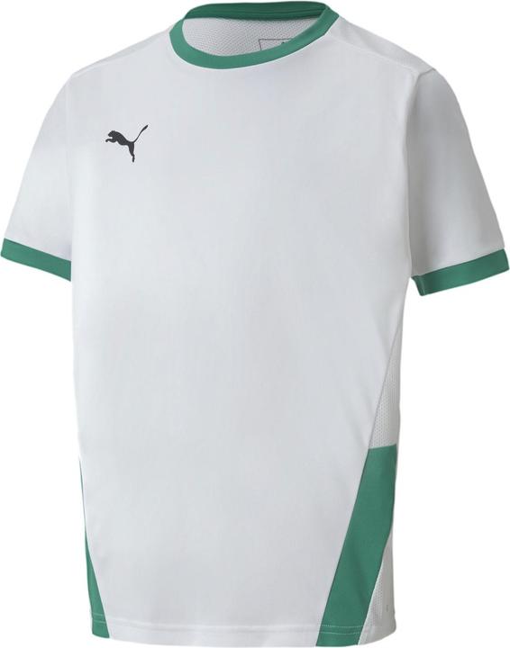 Immagine prodotto Puma Maglia teamGOAL 23 jr-704160 (164)