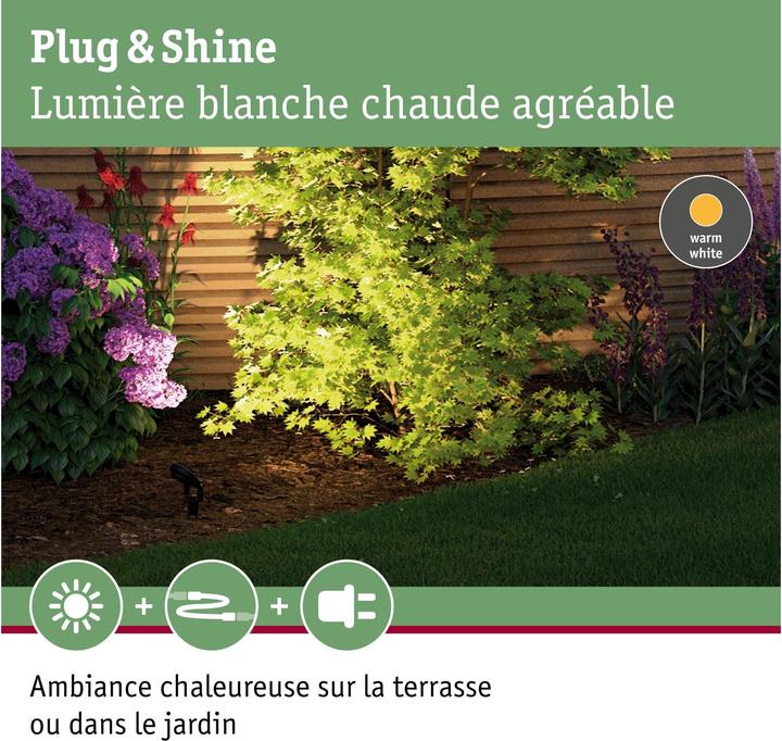 Image du produit Paulmann Plug & Shine Sting (655 lm, IP67)