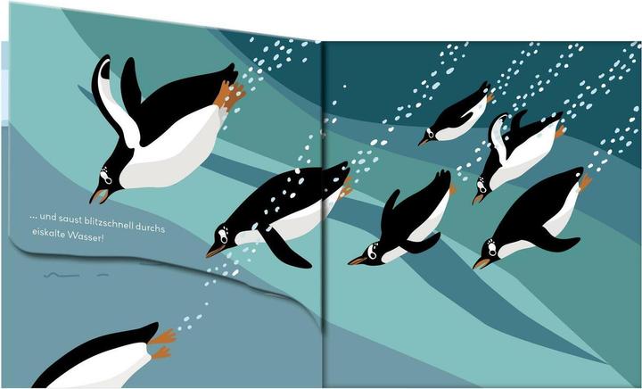 Actual product image Baby Pixi (unbreakable) 142: Flippediflapp: Animals in the sea (German)