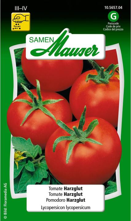 Samen Mauser Tomate Harzglut (Gemüsesamen)