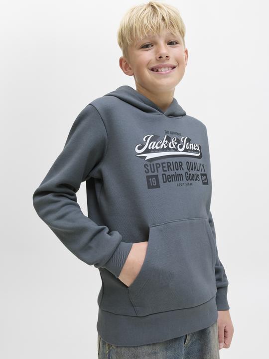 Actual product image Jack & Jones JJELOGO SWEAT HOOD 2 COL 25/26 NOOS JNR (128)