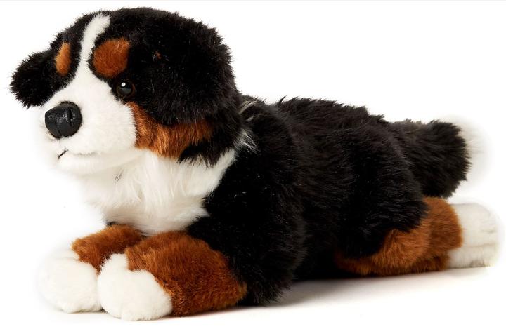 Actual product image Uniring Bernese mountain dog (39 cm)