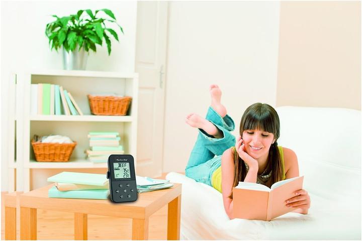 Actual product image TFA Wireless roast thermometer