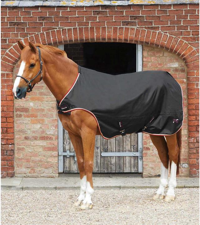 Produktbild Premier Equine führanlagendecke walker 100 g (198 cm)