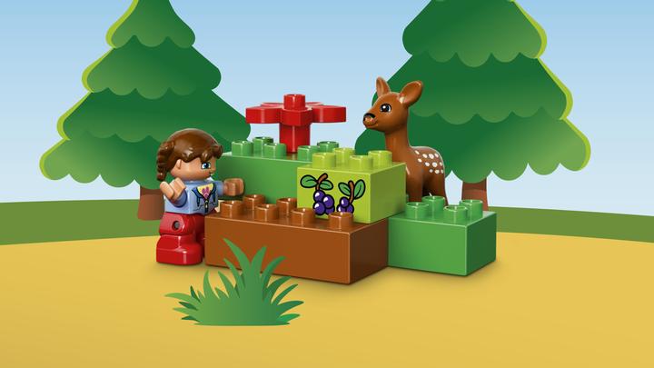 Actual product image LEGO Game Park (10584)