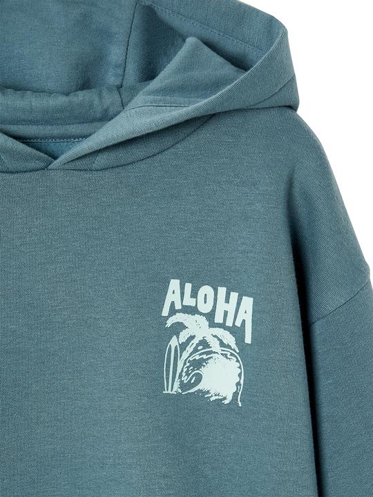 Produktbild Vertbaudet Jungen Kapuzensweatshirt mit Print, Recycling-Polyester Basic (92)