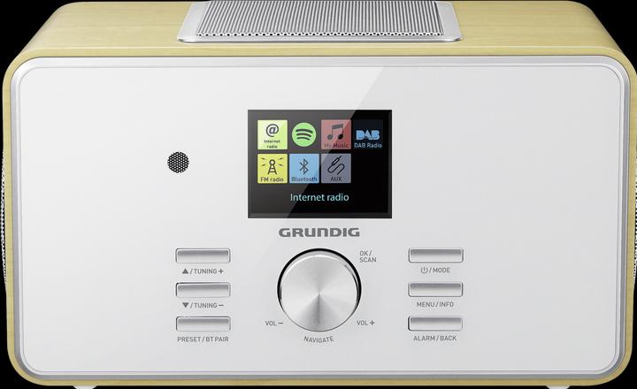Grundig DTR 6000 2.1 BT DAB+ WEB (Webradio, DAB+ DAB, FM, WiFi, Bluetooth)