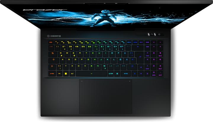 Actual product image Erazer Beast X40 RTX 4080 (17", Intel Core i9-14900HX, 32 GB, 1000 GB, CH)