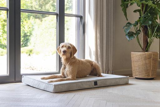 Productafbeelding Designed by Lotte Orthopedisch kooikussen Geribd (Hond)