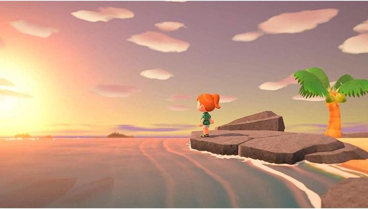 Immagine prodotto Nintendo Animal Crossing: New Horizons (Switch, Multilingue)