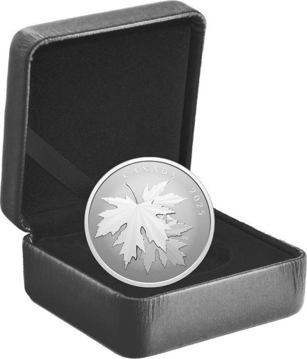 Actual product image Royal Canadian Mint Silber Gleaming Maple Leaf 1/2 oz RP - 2025 (999.90, 2025)