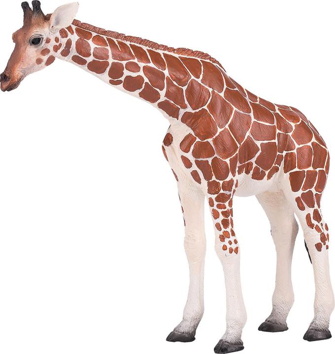 Immagine prodotto Mojo Wildlife Giraffa femmina - 381033