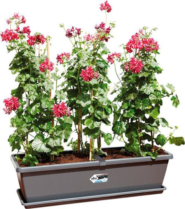 Produktbild Elho Barcelona (25 cm)