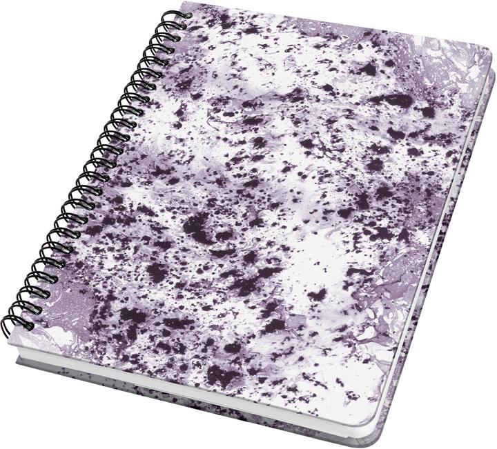 Image du produit Sigel Jolie (A5, Pointillés, Couverture rigide)