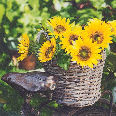Sunny Flower