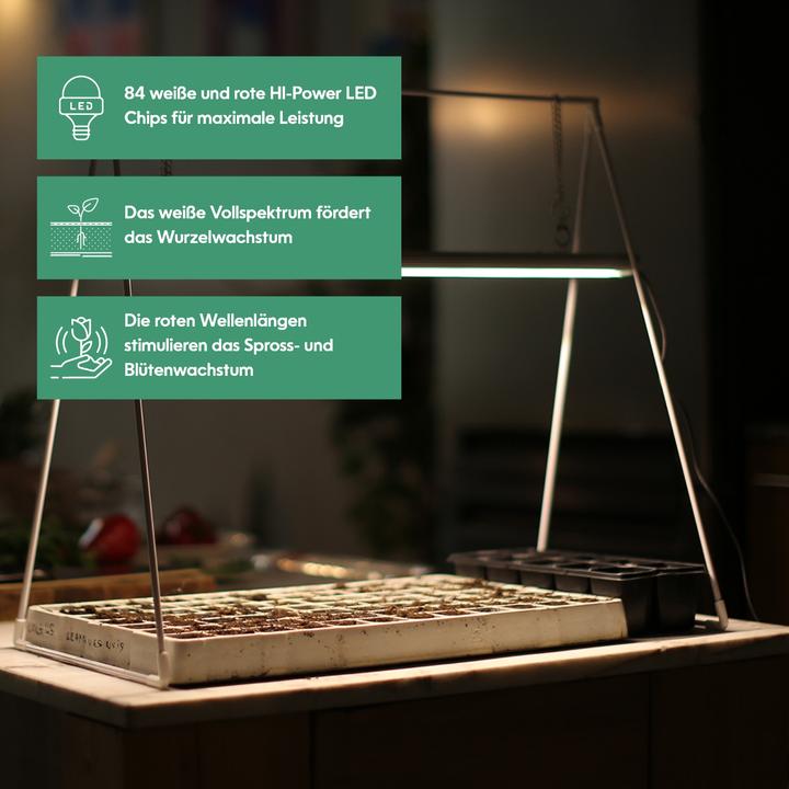 Actual product image Venso Growlight Duo (LED, 245 V)