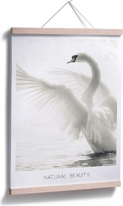 Actual product image Trenddeko Majestic swan - Natural Beauty (100 x 120 cm)