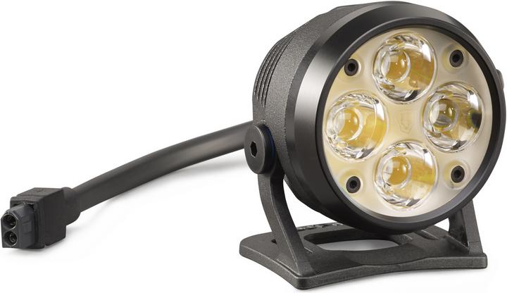 Actual product image Lupine Wilma 7