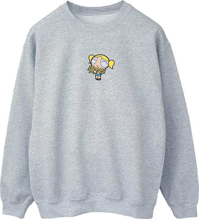 The Powerpuff Girls Sweatshirt (XXL)