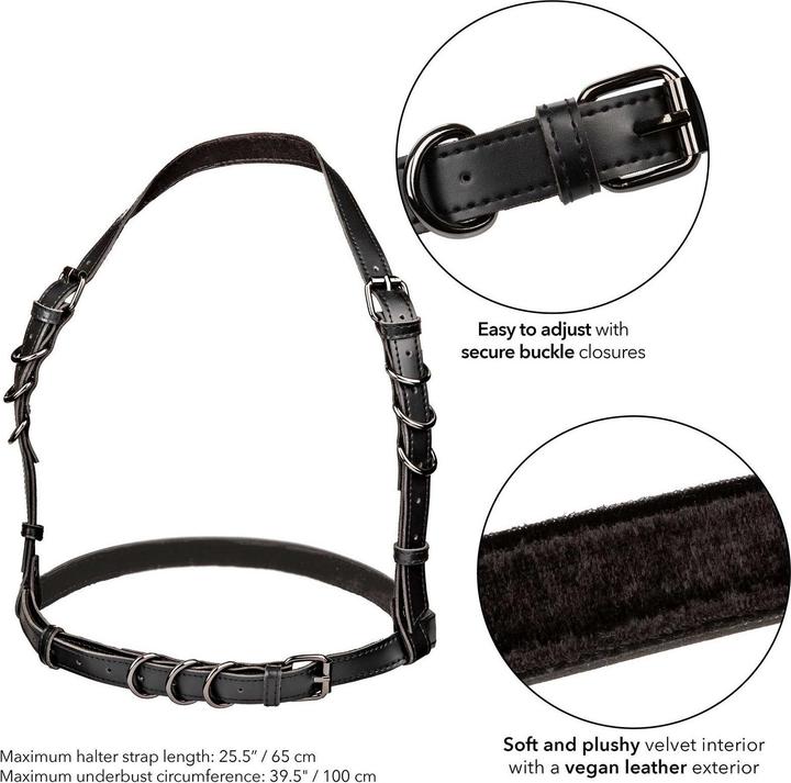 Produktbild CalExotics California Exotics - Euphoria Halfterschnallengeschirr Schwarz